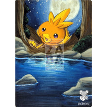 Torchic 69/106 Emerald Extended Art Custom Pokemon Card